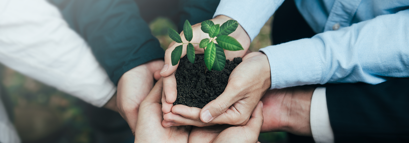 Sustainability
